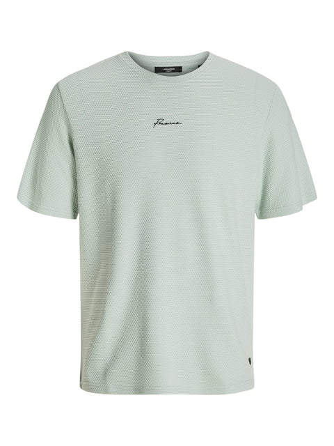 Jack & Jones - 12175825 JPRBLAFRANCO SS TEE C - Aqua Gray