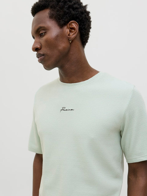 Jack & Jones - 12175825 JPRBLAFRANCO SS TEE C - Aqua Gray