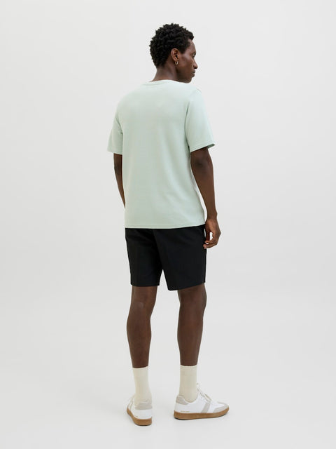 Jack & Jones - 12175825 JPRBLAFRANCO SS TEE C - Aqua Gray